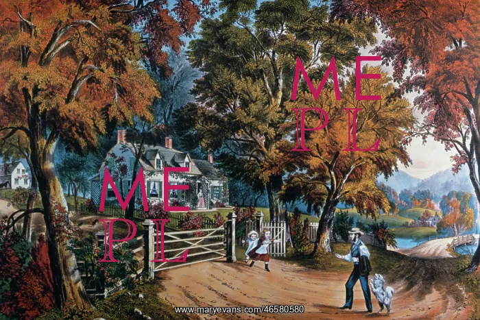 : Home Sweet Home : Home Sweet Home
