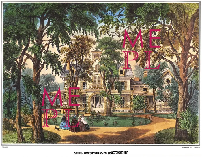 : Home Amongst the Trees