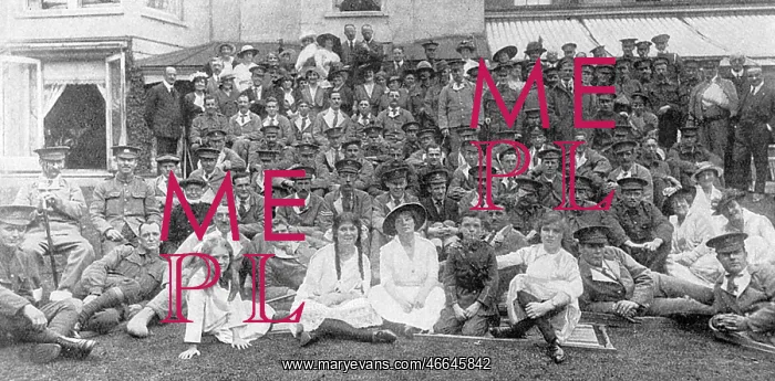 : At Home to the Wounded during WW1 : At Home to the Wounded during WW1
