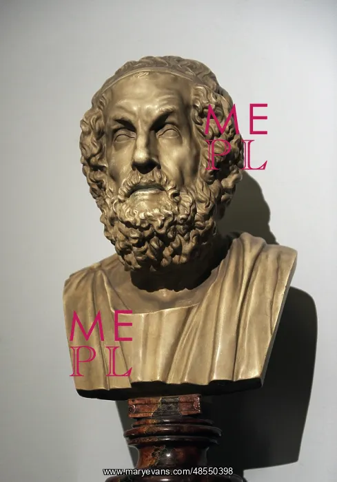 : Homer. Bust : Homer. Bust