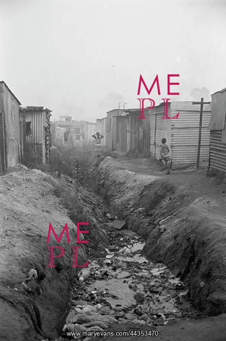 : Homes alongside a watery ditch, SOWETO : Homes alongside a watery ditch, SOWETO