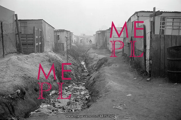 : Homes alongside a watery ditch, SOWETO : Homes alongside a watery ditch, SOWETO