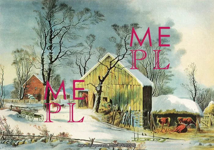  : Homestead in Snow