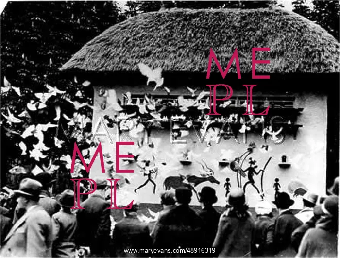 : HOMING PIGEONS : HOMING PIGEONS