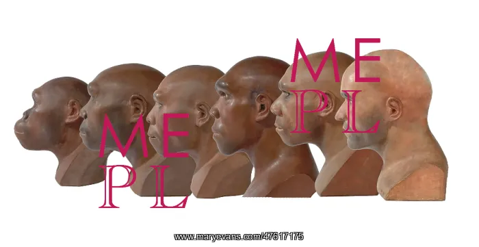 : Hominid reconstructions in chronological order : Hominid reconstructions in chronological order