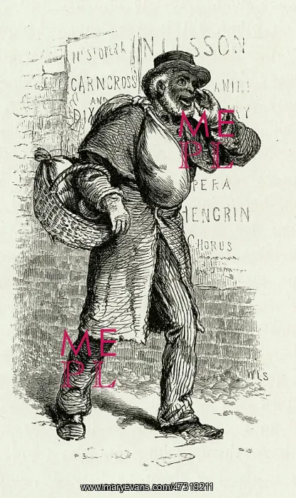 : HOMINY MAN, PHILADELPHIA : HOMINY MAN, PHILADELPHIA