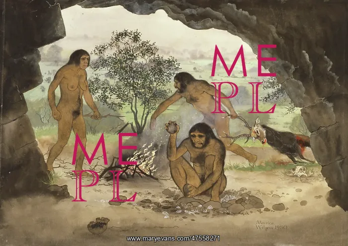 : Homo erectus, Peking Man : Homo erectus, Peking Man