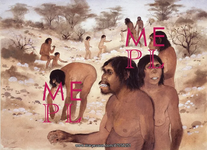 : Homo habilis in action : Homo habilis in action