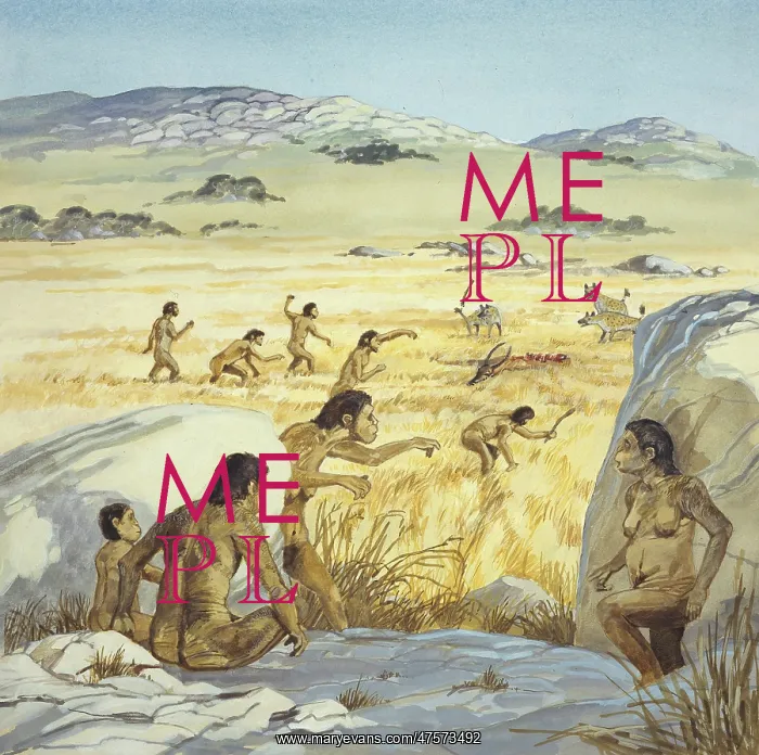 : Homo habilis in action : Homo habilis in action