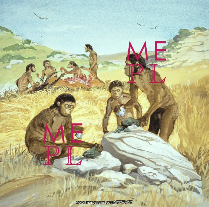 : Homo habilis in action : Homo habilis in action