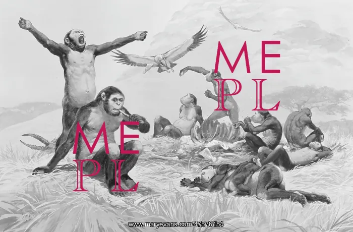 : Homo habilis in action : Homo habilis in action