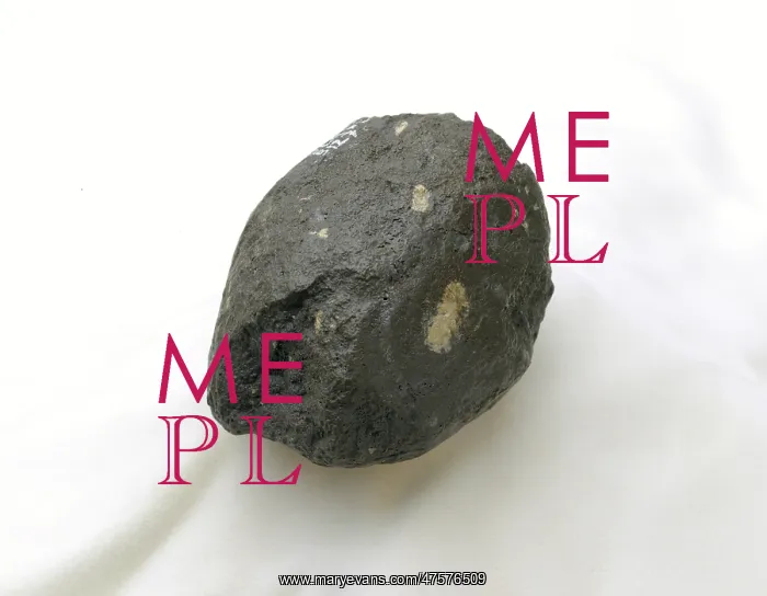 : A Homo habilis hammerstone : A Homo habilis hammerstone