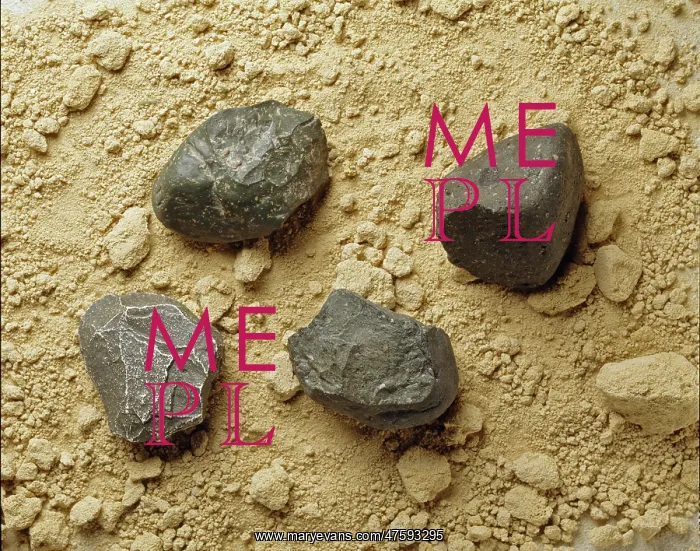 : Homo habilis tools : Homo habilis tools