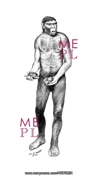 : Homo heidelbergensis, Boxgrove Man : Homo heidelbergensis, Boxgrove Man