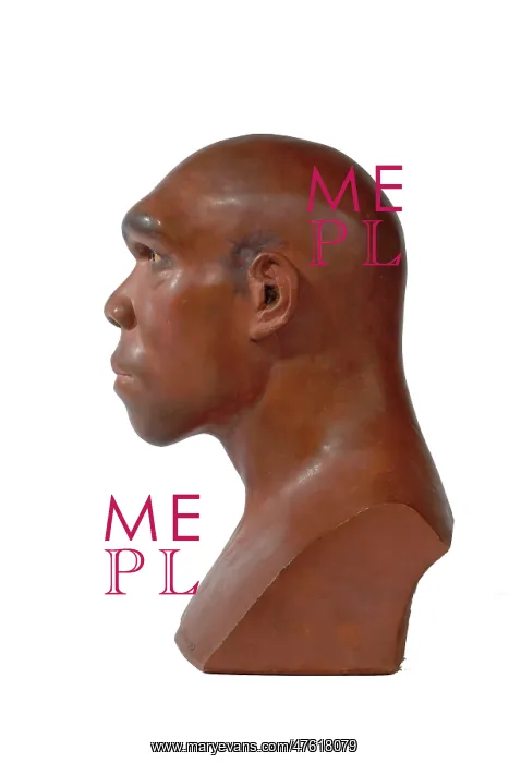 : Homo heidelbergensis, Rhodesian or Broken Hill Man : Homo heidelbergensis, Rhodesian or Broken Hill Man