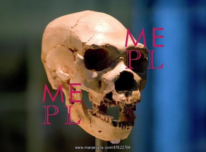 : Homo neanderthalensis, neanderthal man : Homo neanderthalensis, neanderthal man