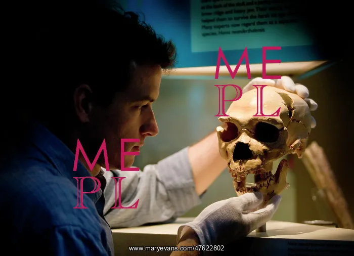 : Homo neanderthalensis, neanderthal man : Homo neanderthalensis, neanderthal man