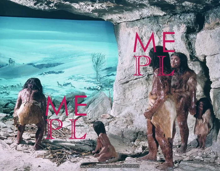 : Homo neanderthalensis, Neanderthal man model : Homo neanderthalensis, Neanderthal man model