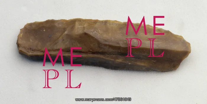 : Homo neanderthalensis, Neanderthal man's flake tool : Homo neanderthalensis, Neanderthal man's flake tool