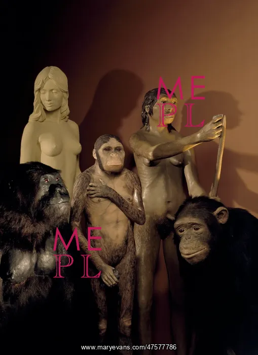 : Homo sapiens, Australopithecus, Neanderthal and Pan troglody : Homo sapiens, Australopithecus, Neanderthal and Pan troglody