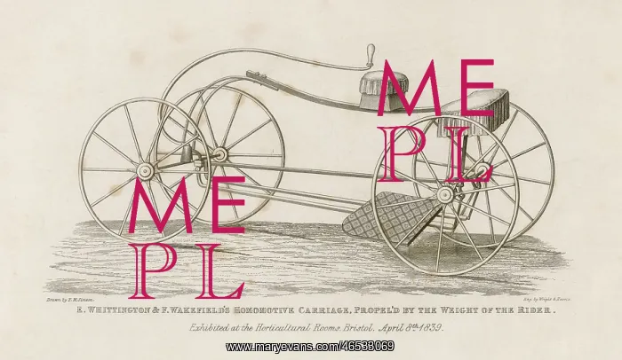 : HOMOMOTIVE CARRIAGE : HOMOMOTIVE CARRIAGE