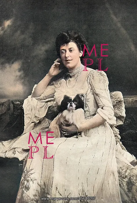 : The Hon. Mrs Ronald Greville : The Hon. Mrs Ronald Greville