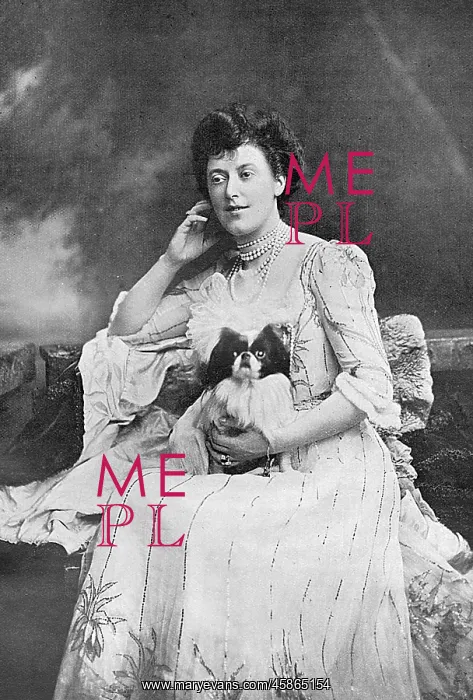 : The Hon. Mrs Ronald Greville : The Hon. Mrs Ronald Greville
