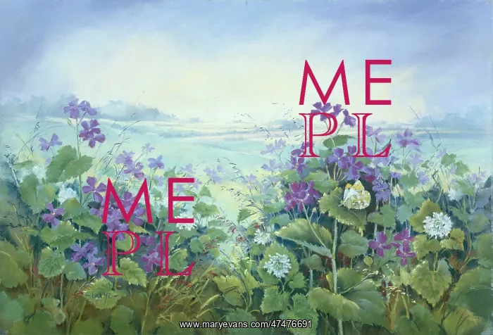 : Honesty, Garlic Mustard and Butterfly