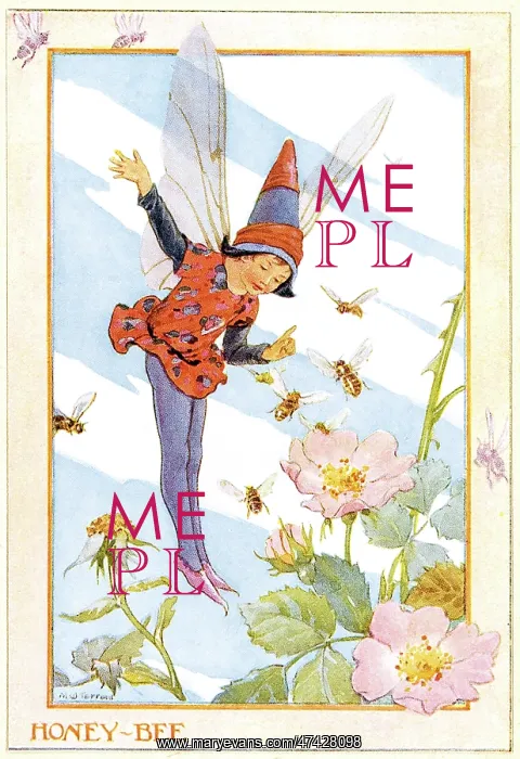 : Honey Bee Fairy : Honey Bee Fairy