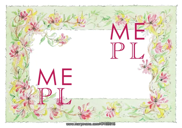 : Honeysuckle border design : Honeysuckle border design
