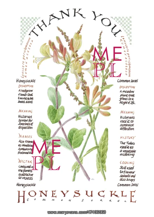 : Honeysuckle and Sorrel ? Thank you : Honeysuckle and Sorrel ? Thank you