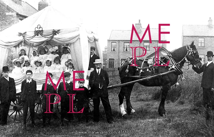  : Honley Show