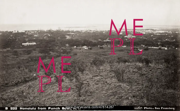 : Honolulu from Punch Bowl, Hawaii, Taber studio : Honolulu from Punch Bowl, Hawaii, Taber studio