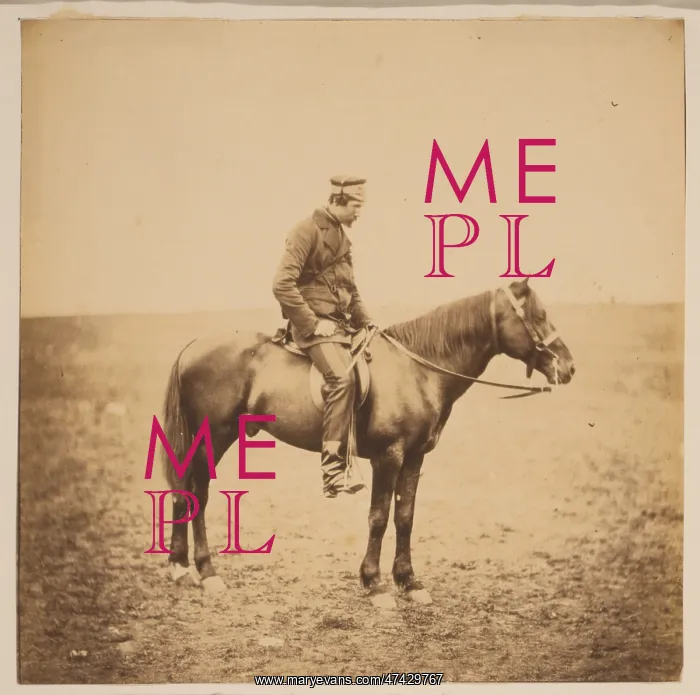 : The Honourable Major Cathcart, Dep. As. Adj. General to the : The Honourable Major Cathcart, Dep. As. Adj. General to the