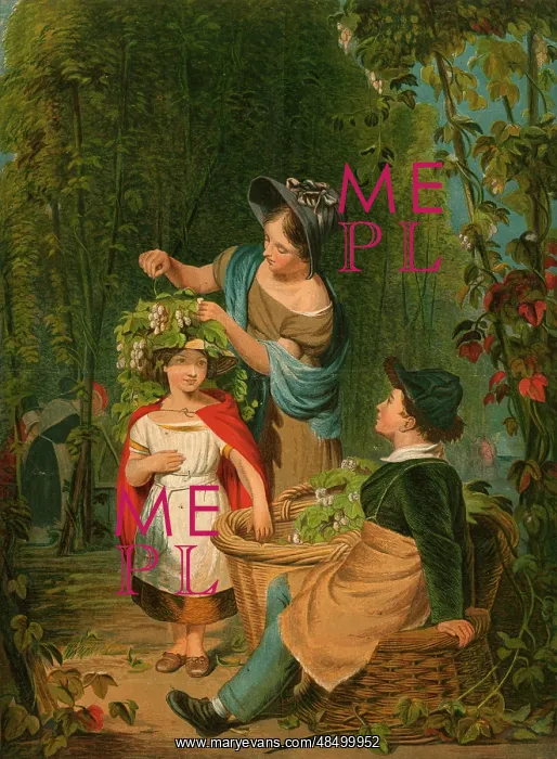  : The Hop-Garland