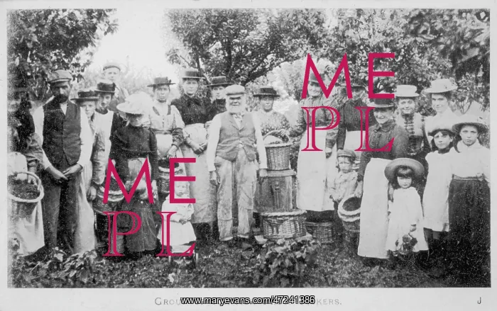 : HOP PICKERS 1905