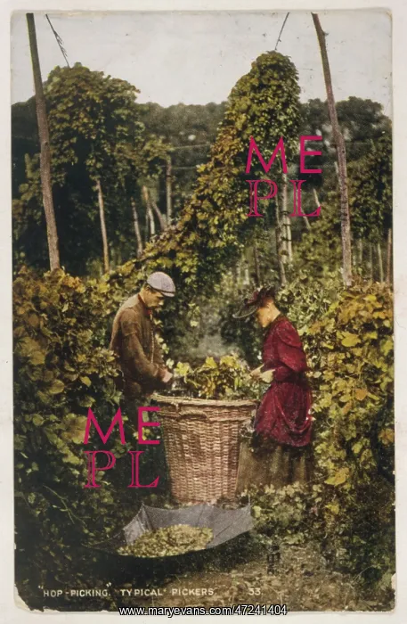 : HOP PICKERS 1907 : HOP PICKERS 1907