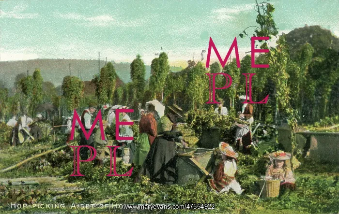 : Hop Pickers : Hop Pickers