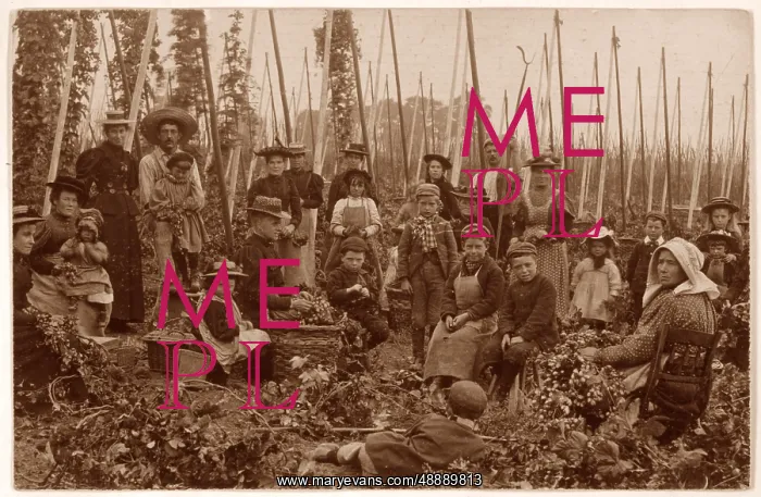  : HOP PICKERS