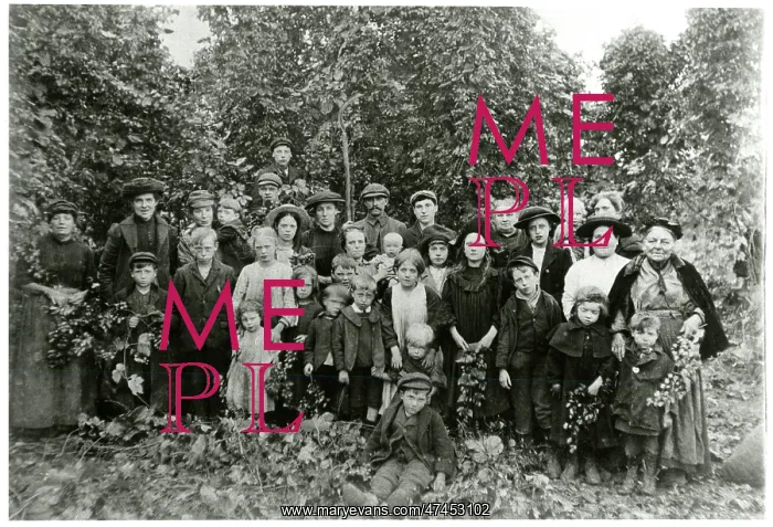  : Hop pickers in Kent 1911