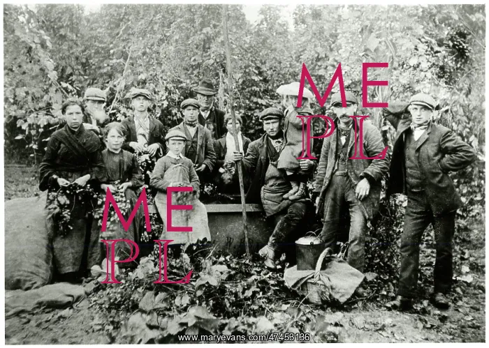  : Hop pickers in Kent 1911
