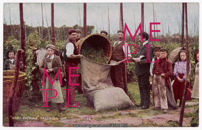  : HOP PICKERS TALLY OFF