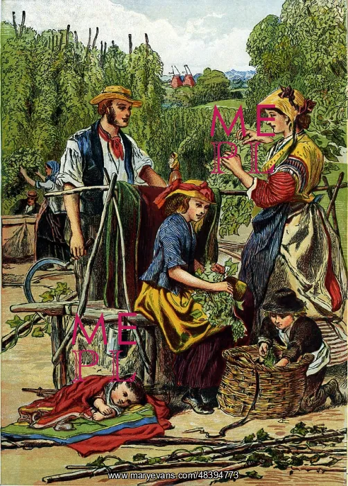 : Hop Picking : Hop Picking