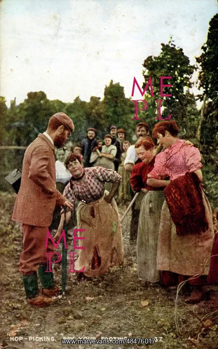 : Hop Picking, Kent : Hop Picking, Kent