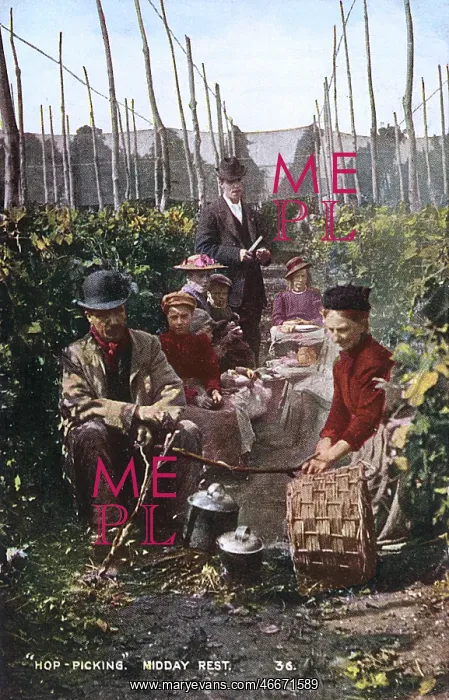  : Hop Picking - Kent - The Midday Rest