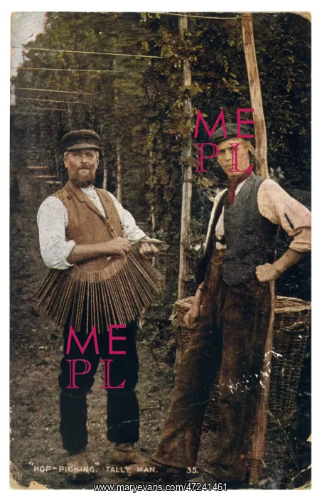 : HOP TALLY MEN 1907