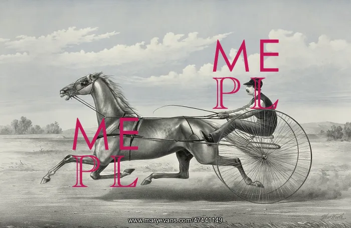 : Hopeful: grey gelding by Godfrey's Patchen, dam unknown : Hopeful: grey gelding by Godfrey's Patchen, dam unknown