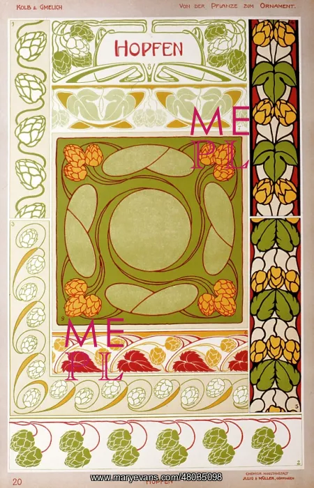 : Hopfen (Hops) by Kolb and Gmelich : Hopfen (Hops) by Kolb and Gmelich