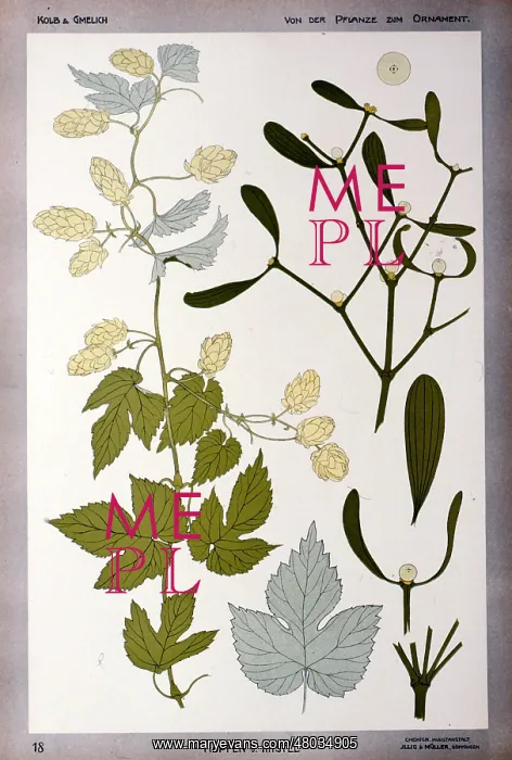 : Hopfen und Mistel by Kolb and Gmelich : Hopfen und Mistel by Kolb and Gmelich