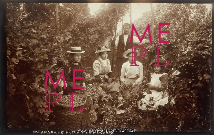  : HOPGARDEN 1905